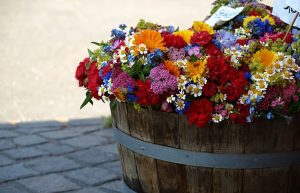 Schnittblumen_Gartengestaltung-Klaus Schnittblumen_Gartengestaltung-Klaus
